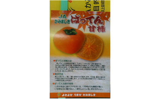 ばってん甘柿 訳あり 約3kg 8～16玉入り×2箱 合計約6kg 柿 かき 甘柿 【2024年10月上旬～11月上旬まで発送予定】