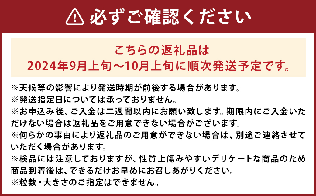 栗 約3kg サイズ2L～M くり マロン 【2024年9月上旬～10月上旬まで発送予定】