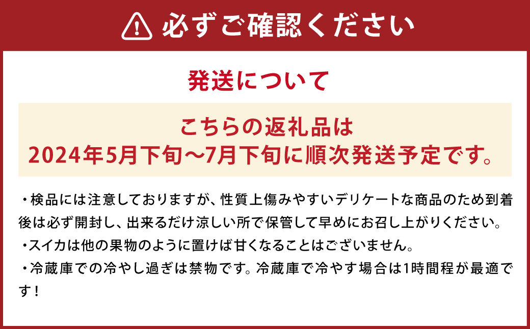 小玉スイカ 3Lサイズ以上 2玉入り 益城町 すいか 果物 フルーツ【2024年5月下旬-2024年7月下旬発送予定】