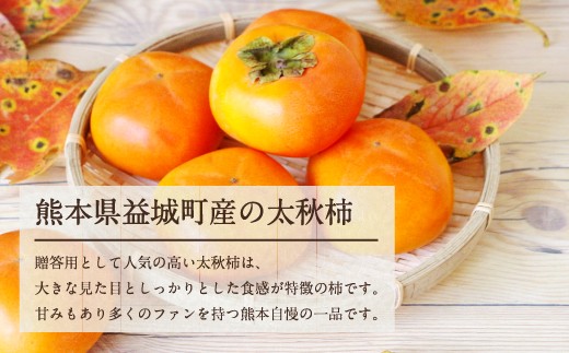 太秋柿 約3kg 8玉から14玉 熊本県産 柿 カキ 果物 フルーツ【2024年10月上旬～2024年10月下旬発送予定】