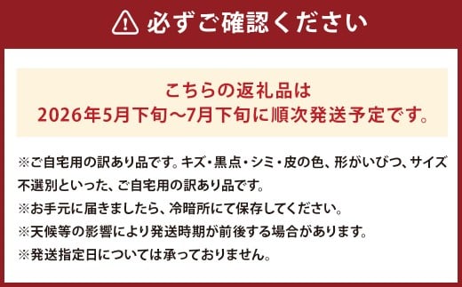 訳あり 大玉すいか 1玉 約6kg?9kg
