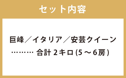 【2023年8月下旬発送予定】 ぶどう 3種 詰め合わせ 合計約2kg 5～6房 巨峰 イタリア 安芸クイーン