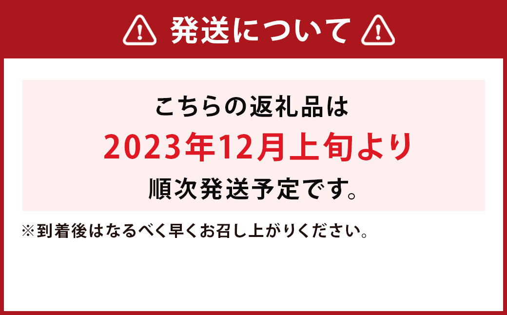 【2023年12月上旬発送開始】さつまいも シルクスイート 5kg さつま芋