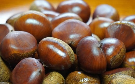 生栗 クリ 大粒 2L以上 約2kg