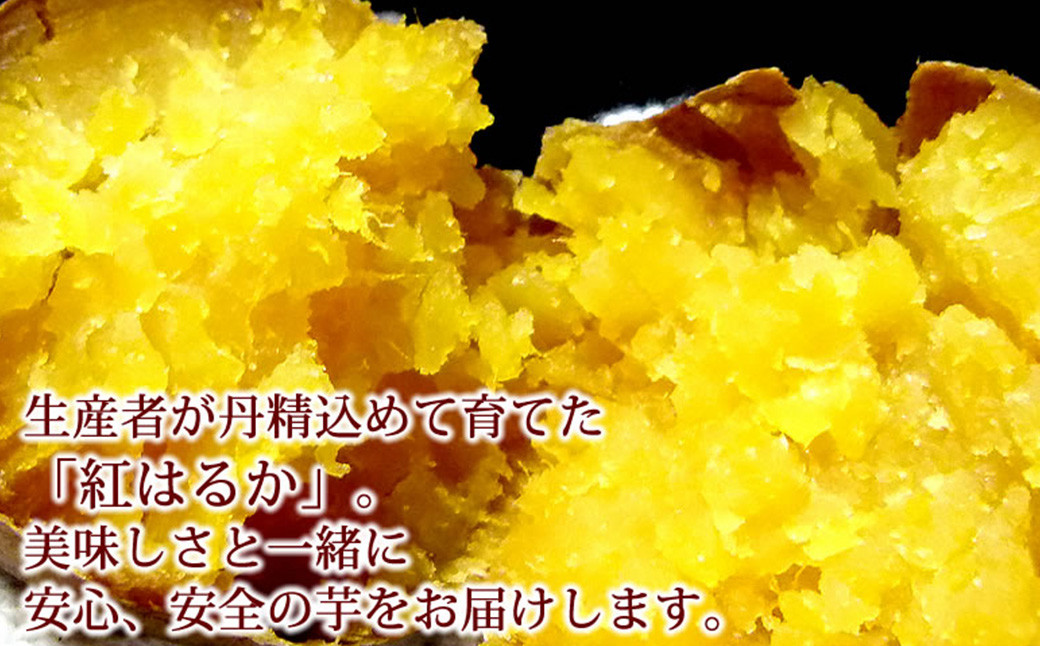 紅はるか 秀品 約5kg