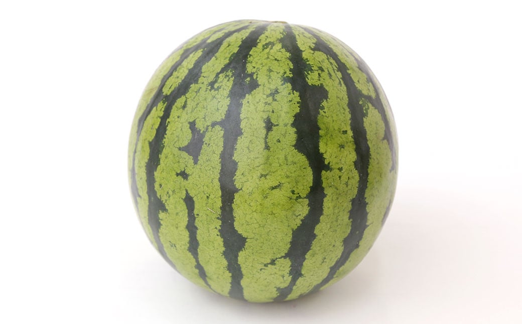 【2024年3月下旬発送開始】益城産 西瓜 約5kg以上 1玉入り