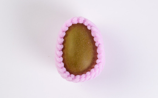 益城町産 レッドキウイ 約1kg（7～12玉）