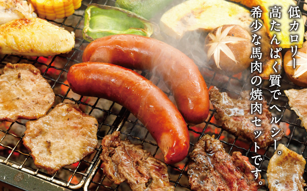 馬肉専門店だからできる 豪華 馬 焼肉セット カルビ ロース ホルモン