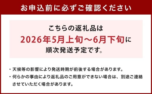 大玉すいか 2玉 L以上 約10kg 【2026年5月上旬～6月下旬発送予定】