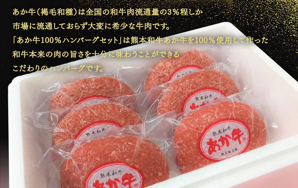 あか牛 100％ ハンバーグ セット 約120g×6個 あか牛のたれ200ml付き