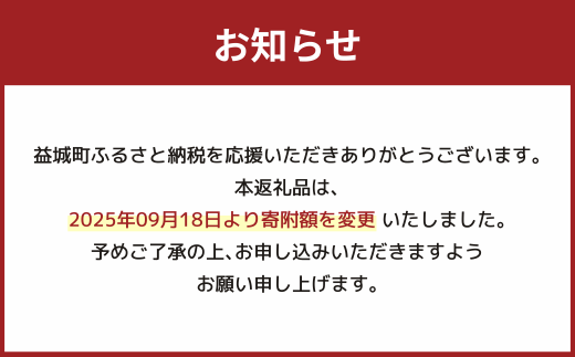 【数量限定】朝堀り 筍 4kg　熊本県産米 約500g 付き