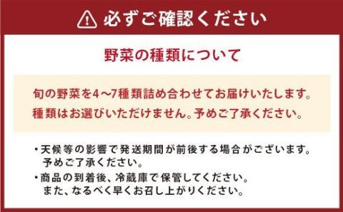 季節の野菜 詰め合わせ セット 4～7種 旬の野菜 季節 野菜