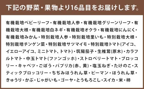 12ヶ月 定期便 益城三昧