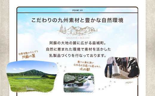 石坂ファーム KUMAMOTO モッツァレラ チーズ 100g×6個