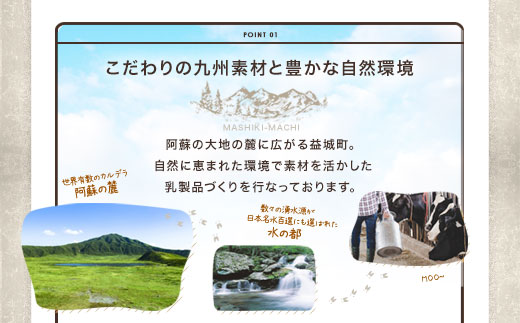 KUMAMOTO モッツァレラ 3個セット 300g（100g×3個）チーズ 生乳 乳製品
