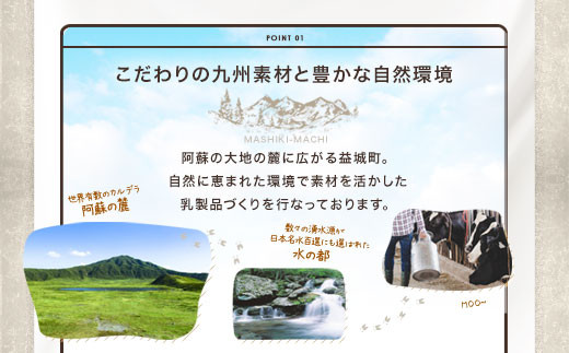 石坂ファーム クマンベール 150g×3個 計450g カマンベール