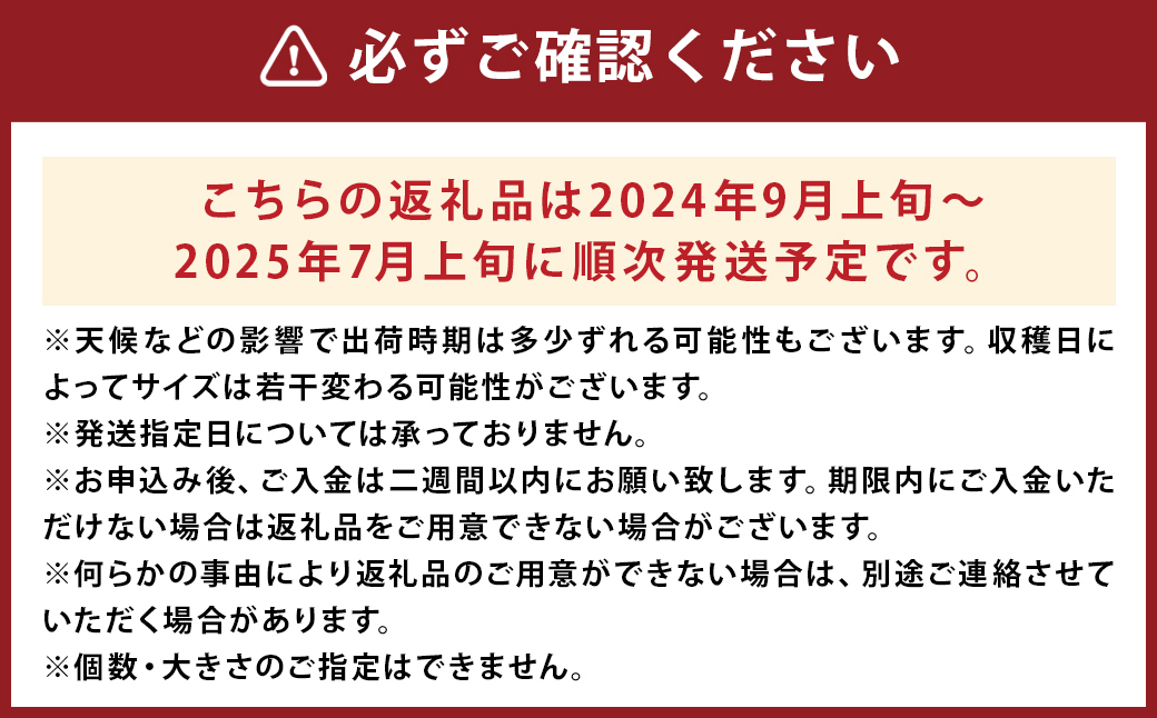 紅はるか 約5kg サツマイモ さつま芋 芋 野菜 いも 熊本県産 【2024年9月上旬-2025年7月上旬発送予定】