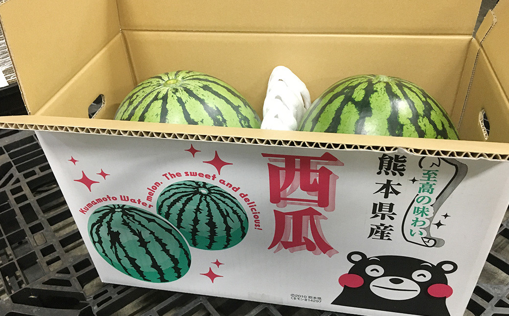 熊本県 益城町産 大玉 スイカ 2玉 入り 1玉6kg以上 西瓜 【2024年5月下旬-8月上旬発送予定】