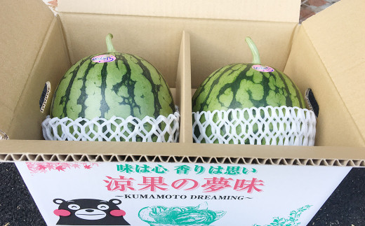 熊本県 益城町産 小玉 スイカ 2玉～6玉入り 1箱4kg以上 西瓜 【2024年5月下旬-8月上旬発送予定】