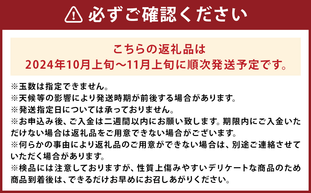 ばってん甘柿 訳あり 約3kg 8～16玉入り×2箱 合計約6kg 柿 かき 甘柿 【2024年10月上旬～11月上旬まで発送予定】