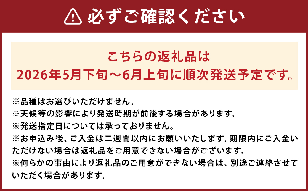 小玉 すいか 2玉 入り 1玉1.5kg 以上 西瓜