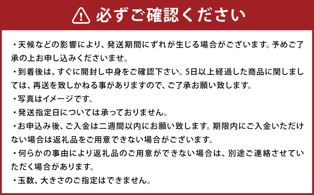 小玉スイカ 3Lサイズ以上 2玉入り 益城町 すいか 果物 フルーツ【2024年5月下旬-2024年7月下旬発送予定】