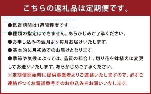 【定期便】お花の定期便シリーズ「毎月」届く 旬のお花 12回 1年間 フワラーアレンジメント