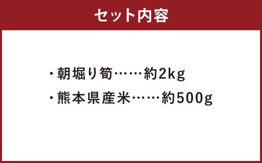 【数量限定】朝堀り 筍 2kg　熊本県産米 約500g 付き