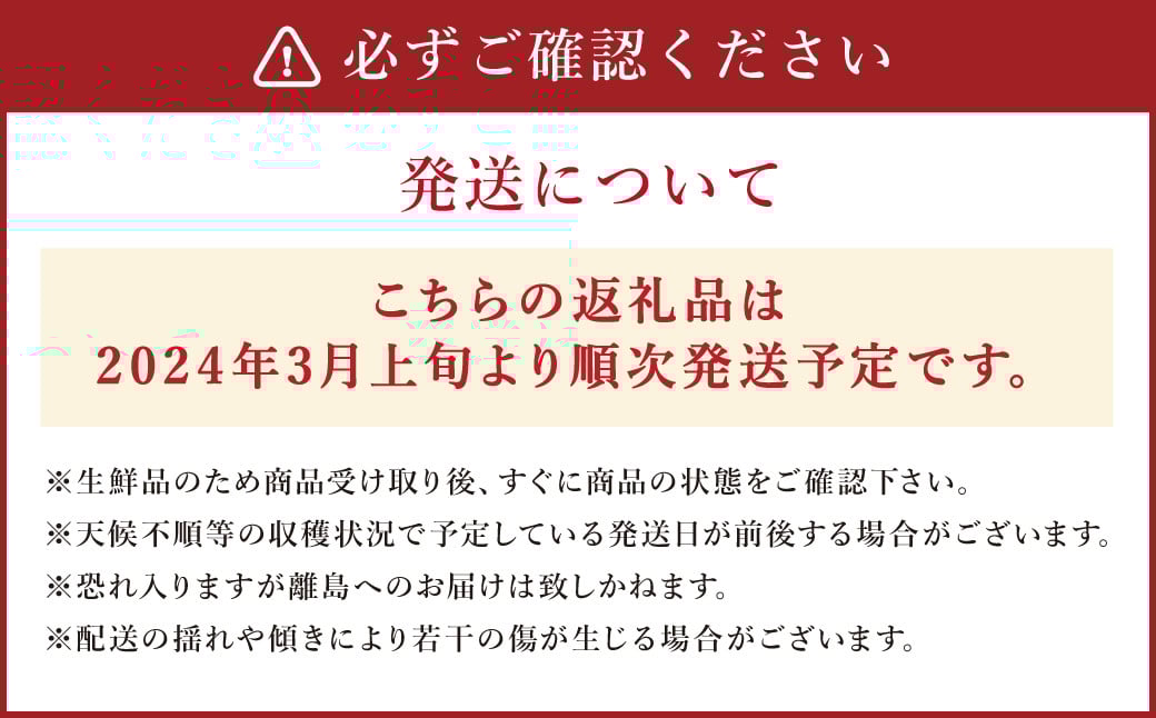 【2024年3月上旬発送開始】ジューシーオレンジ 約10kg 柑橘類 晩柑 熊本県産