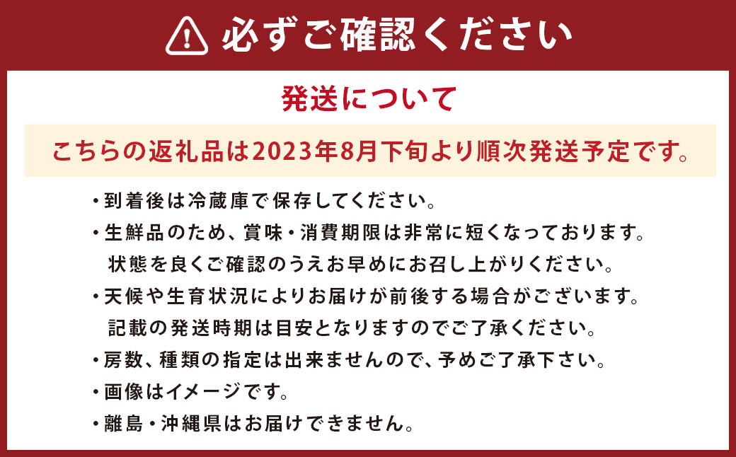 【2023年8月下旬発送予定】 ぶどう 3種 詰め合わせ 合計約2kg 5～6房 巨峰 イタリア 安芸クイーン
