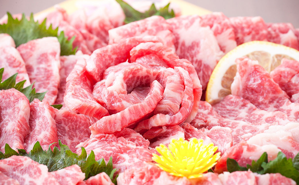 熊本 馬刺し 霜降り (大トロ) 600g 馬肉