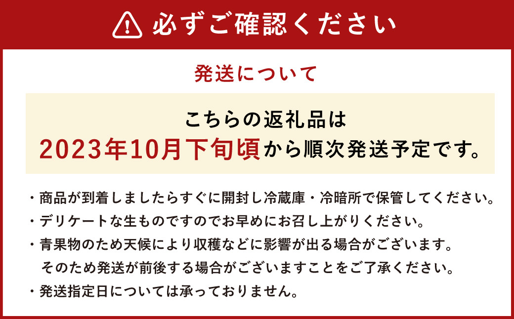 【2023年10月下旬発送開始】 益城産 太秋柿 秀品 約3kg 柿 8~14玉 果物