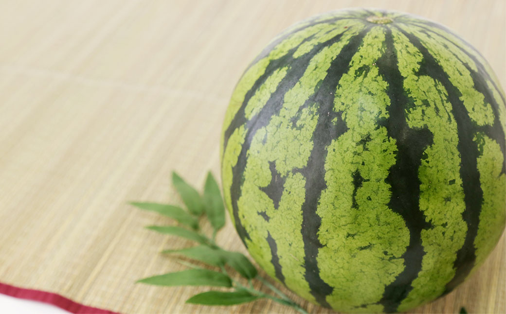 【2024年3月下旬発送開始】益城産 西瓜 約5kg以上 1玉入り