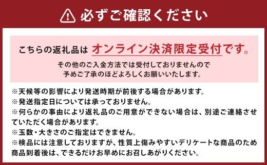 【数量限定】朝堀り 筍 4kg　熊本県産米 約500g 付き
