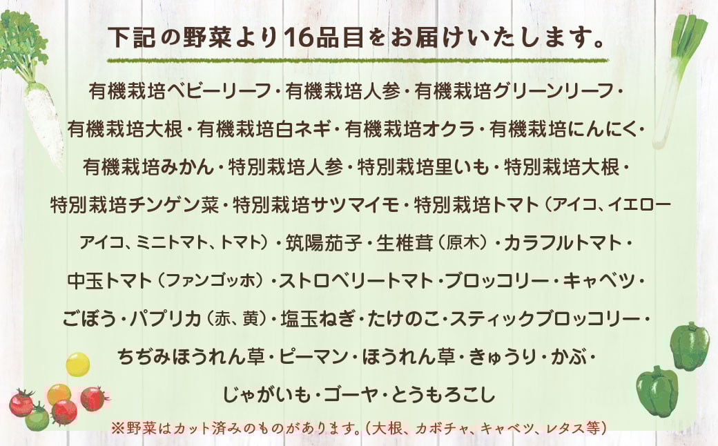 【定期便6回】季節の野菜 16品目 セット 野菜 詰め合わせ おまかせ