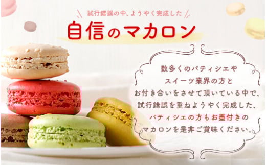 【2023年12月発送】とろとろ マカロン 6種 24個入 食べ比べ セット