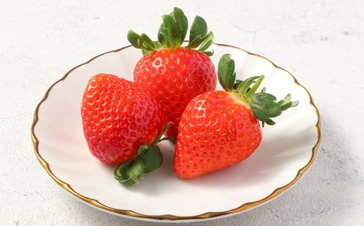 益城産 いちご 500g×1パック 贈答箱入り