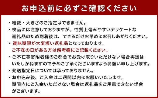 大玉すいか 2玉 L以上 約10kg 【2026年5月上旬～6月下旬発送予定】