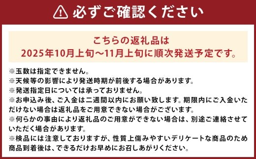太秋柿 約3kg 8～16玉入り 柿 カキ 太秋 たいしゅう