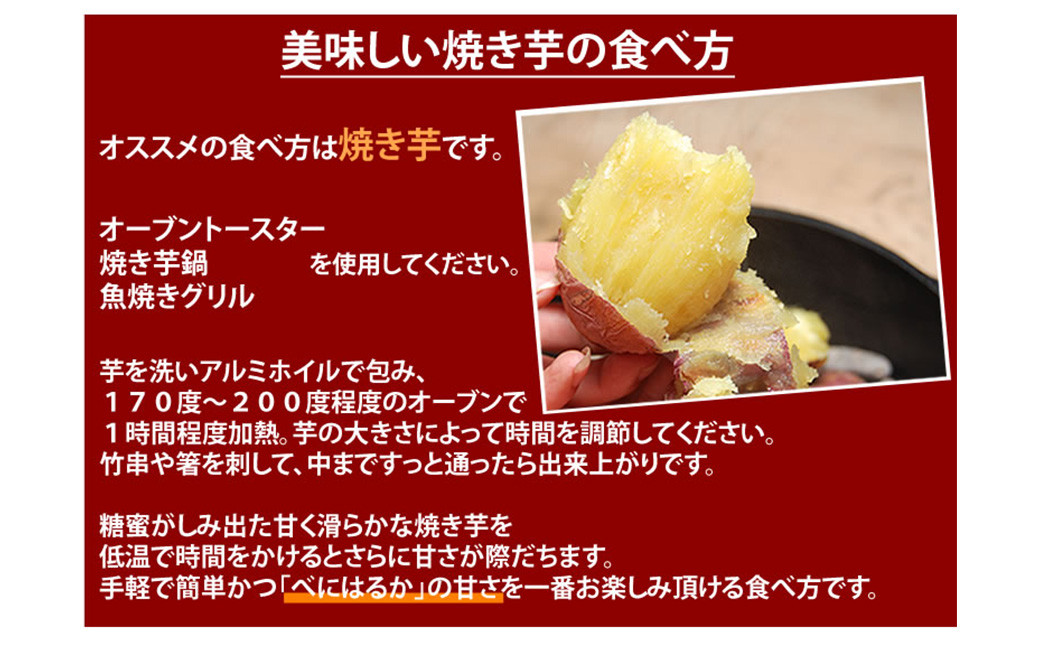 さつまいも 紅はるか 秀品 10kg 益城町産 サツマイモ 紅蜜芋 芋 いも