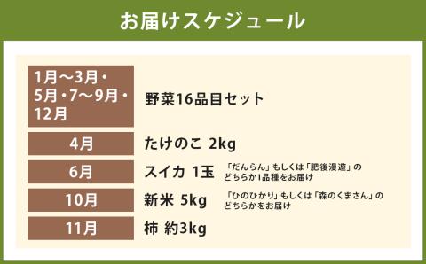 12ヶ月 定期便 益城三昧