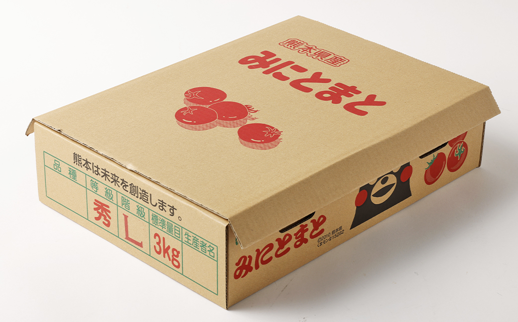 ミニトマト (3kg) トマト