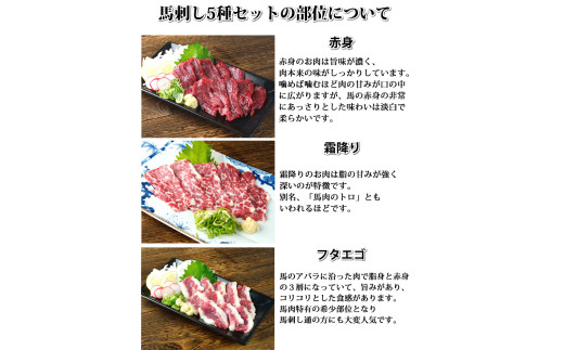 馬刺し 5種 盛り合わせセット 5人前 約250g 熊本直送
