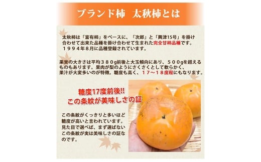 太秋柿 秀品 約3kg（約8～14個）