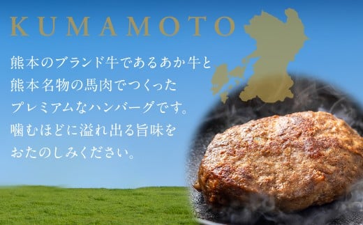 はんば?ぎゅう 6個セット