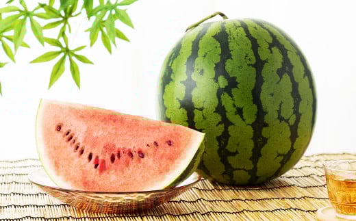 小玉 すいか 2玉入り 3Lサイズ 約3kg【2026年4月下旬～8上旬発送予定】