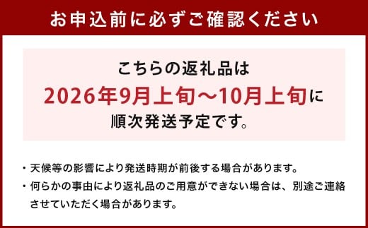 生栗 クリ 大粒 2L以上 約2kg