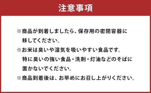 【6回定期便】森のくまさん 5kg (初回 ご飯の友 付き) 計30kg 熊本 米 ふりかけ 御飯の友【2025年10月上旬より1回目の発送予定】