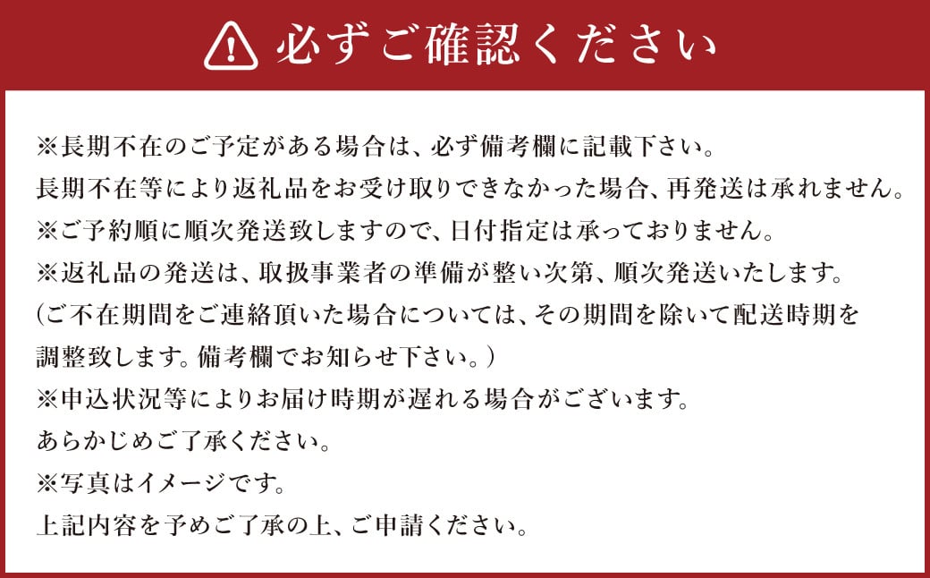 【2024年3月上旬発送開始】ジューシーオレンジ 約10kg 柑橘類 晩柑 熊本県産