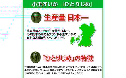 小玉すいか 秀品 2玉 約2～3kg